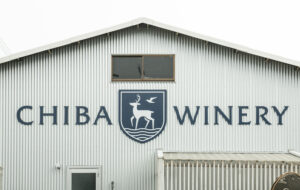 【メディア掲載】Terroir.mediaにて「千葉ワイナリー」の特集記事が公開されました！